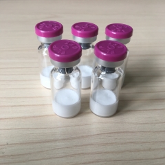 selank nootropics